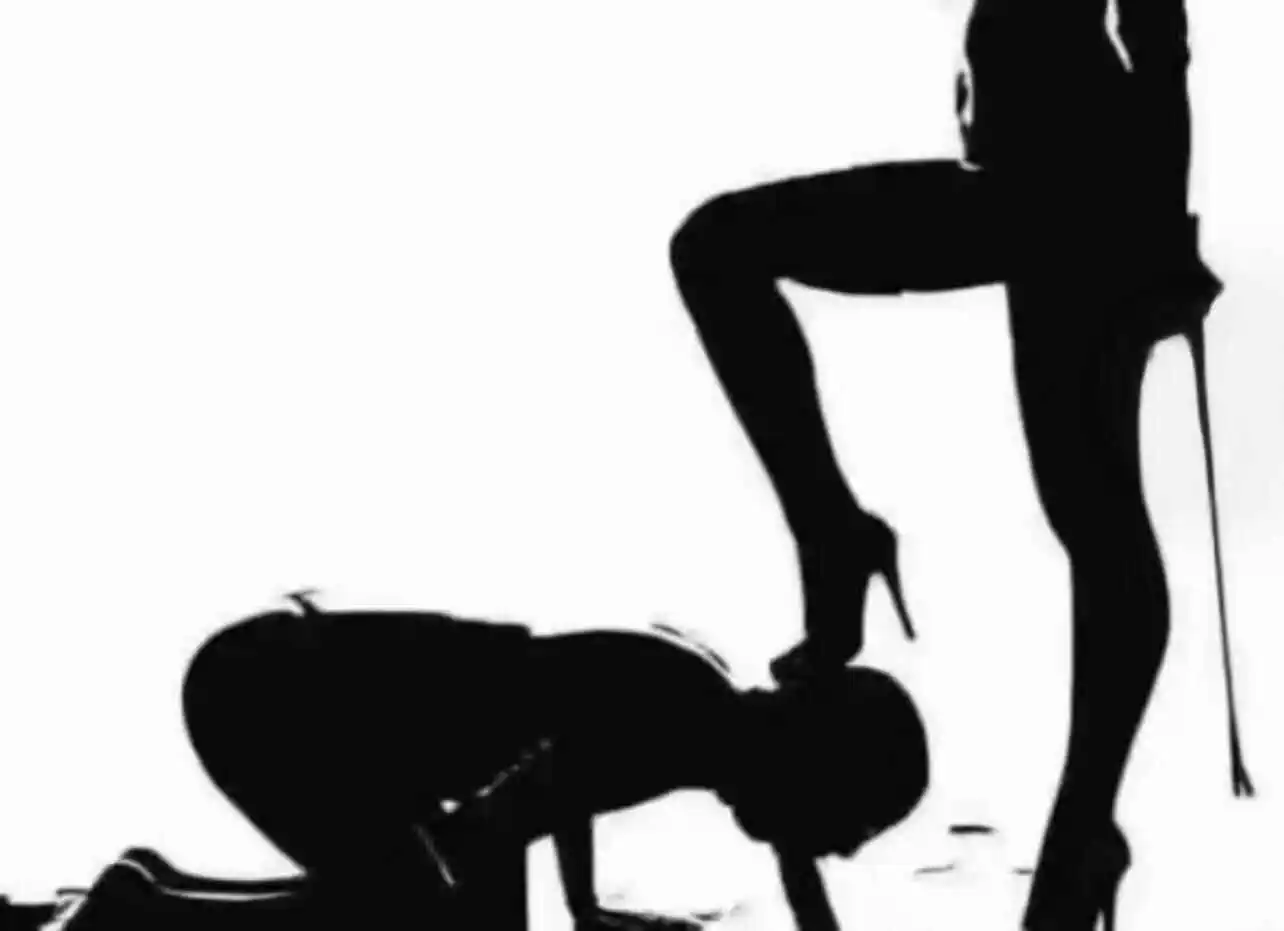 西檬之家深入探索2025年sm亚文化的奥秘与实践 一