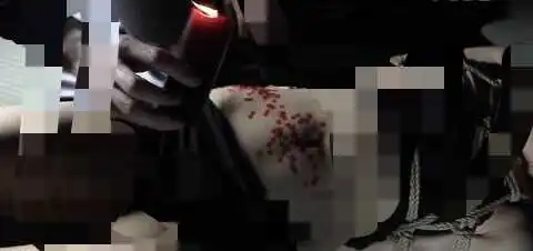 西檬之家brat属性是什么？字母圈新人需了解的秘密 一