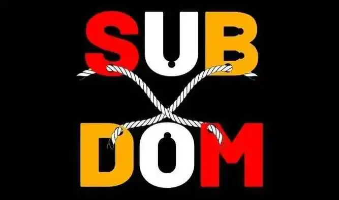 西檬之家Dom是什么？字母圈新手必知的支配者角色解析 一