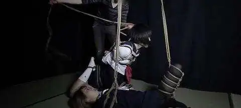 西檬之家TS究竟是什么？了解字母圈中的这种身份属性 一