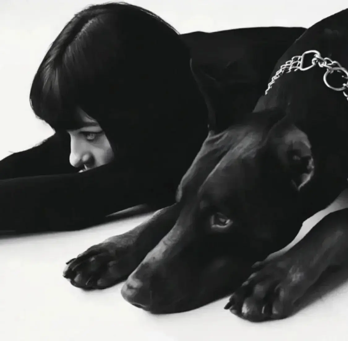 西檬之家s倾向的心理解析及其在字母圈中的影响 一